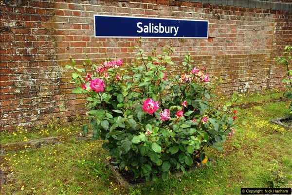 2015-08-01 Salisbury, Wiltshire.  (28)028