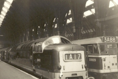 00601955-to-1959-British-Railways-in-Black-White.-600060