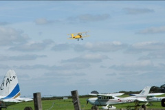 6522011-09-15-Compton-Abbas-Airfield-Dorset.-2652
