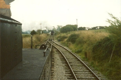 07171989-09-27-The-Turkish-8F-runs-a-goods-train-on-the-SR.-10717