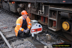 0343.1973-to-2020-The-AMASING-SR-Volunteers-and-Staff.-343-