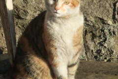 0355.1973-to-2020-The-AMASING-SR-Volunteers-and-Staff.-355-