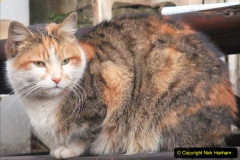 0434.1973-to-2020-The-AMASING-SR-Volunteers-and-Staff.-434-