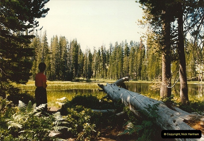 1982-08-15-At-Yosemite-National-Park-California.-3143