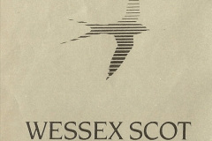 07351989-01-10-Empty-stock-for-the-up-Wessex-Scott-comes-to-grief-@-Branksome-Poole-Dorset.-30735