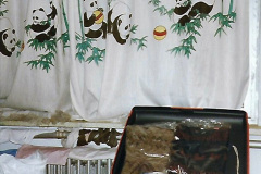 677.1999-China-October.-677-Jing-Peng.-I-counted-8-pandas-on-my-hotel-room-curtains