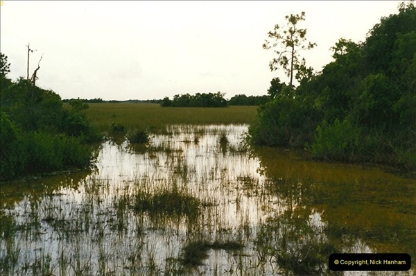 1991-07-20-The-Everglades-Florida.-3070