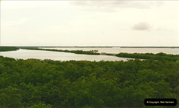 1991-07-20-The-Everglades-Florida.-7074