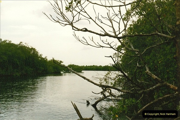 1991-07-20-The-Everglades-Florida.-9076