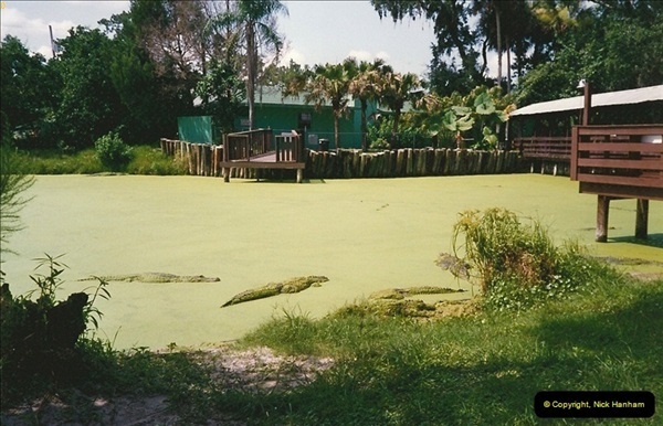 1991-07-21-Gator-Jungle-Plant-City-Florida.-10087
