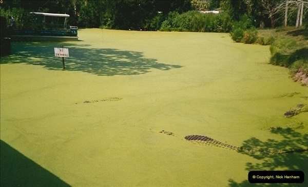1991-07-21-Gator-Jungle-Plant-City-Florida.-14091