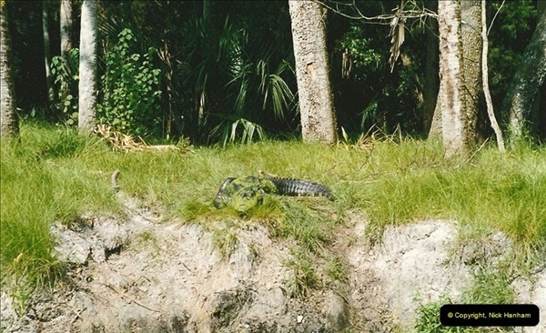1991-07-21-Gator-Jungle-Plant-City-Florida.-3080