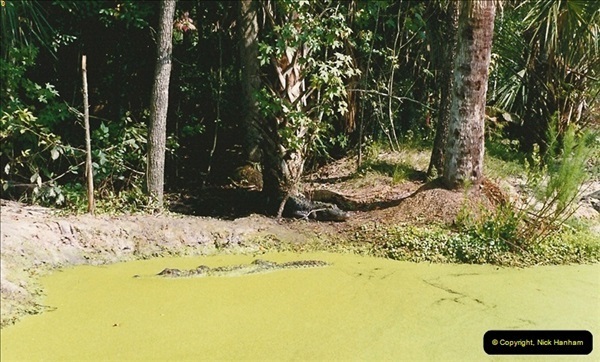 1991-07-21-Gator-Jungle-Plant-City-Florida.-4081