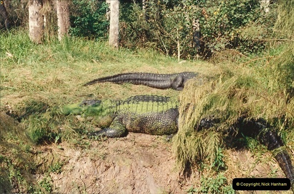 1991-11-24-Gator-Jungle-Plant-City-Florida.-13152