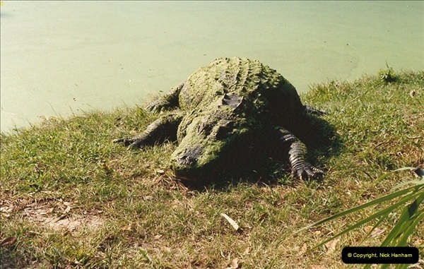 1991-11-24-Gator-Jungle-Plant-City-Florida.-15154
