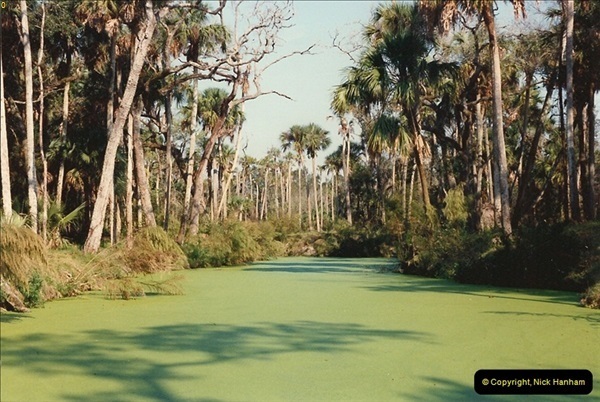 1991-11-24-Gator-Jungle-Plant-City-Florida.-9148