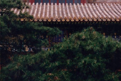 071.China-1993-April.-66-The-Yonghegong-Lamasery.-