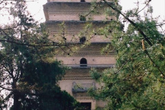 340.China-1993-April.-29-The-Small-Wild-Goose-Pagoda-in-Xain.-
