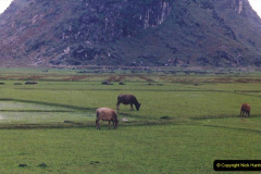 435.China-1993-April.-116-Road-journey-back-to-Guilin.-