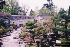 536.China-1993-April.-16A-Bonsai-Garden-in-Nanjing.-1