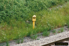 08481997-06-07-The-South-Wales-Maine-Line-East-of-Newport.-340848