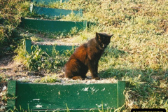 03531996-09-14-SR-Steam-Gala.-220353