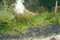 03551996-09-14-SR-Steam-Gala.-240355