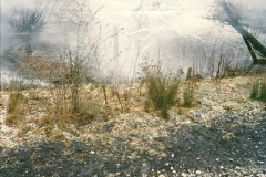 04031997-01-01-Your-Host-driving-New-Years-Day.-100403