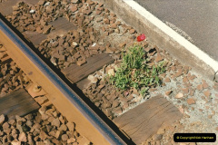 243.1997-05-31-St-Thegonnec-near-Morlaix-France.-243