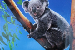 249.1996-February-Australia-Your-Host-and-Late-Mother.-11-Hong-Kong-to-Australia.-