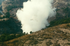 162.1997-November-China.-162-Action-on-the-branch.-