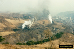 165.1997-November-China.-165-Action-on-the-branch.-