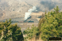 172.1997-November-China.-172-Action-on-the-branch.-
