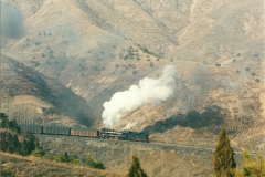173.1997-November-China.-173-Action-on-the-branch.-