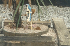 3972001-10-13-Bournemouth-Dorset.-8397