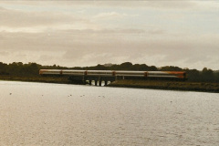 6202004-08-18-Whitecliffe-Poole-Dorset.-5620