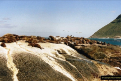0747.1998-October-Central-South-Africa.-747-Hout-Bay-seals