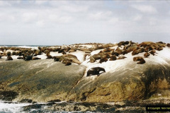 0748.1998-October-Central-South-Africa.-748-Hout-Bay-seals