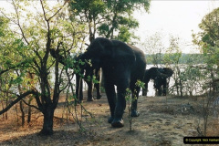 0931.1998-October-Central-South-Africa.-931-Local-game-tour.-