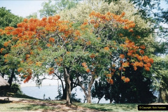 0945.1998-October-Central-South-Africa.-945-Game-Tour-in-Botswana-at-Chobe-over-the-weekend.-