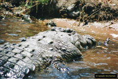 0955.1998-October-Central-South-Africa.-955-Game-Tour-in-Botswana-at-Chobe-over-the-weekend.-