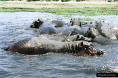 0966.1998-October-Central-South-Africa.-966-Game-Tour-in-Botswana-at-Chobe-over-the-weekend.-