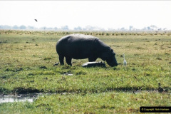 0969.1998-October-Central-South-Africa.-969-Game-Tour-in-Botswana-at-Chobe-over-the-weekend.-