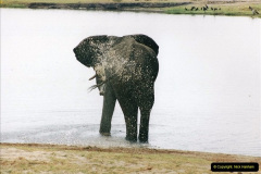 0989.1998-October-Central-South-Africa.-989-Game-Tour-in-Botswana-at-Chobe-over-the-weekend.-