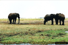 0992.1998-October-Central-South-Africa.-992-Game-Tour-in-Botswana-at-Chobe-over-the-weekend.-
