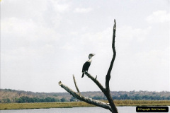 1044.1998-October-Central-South-Africa.-1044-Game-Tour-in-Botswana-at-Chobe-over-the-weekend.-