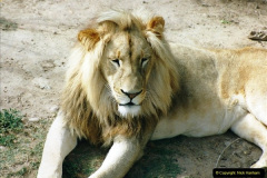0381.1998-October-Central-South-Africa.-381-Oudtshoorn-and-area.-Wildlife-Ranc.-