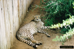 0385.1998-October-Central-South-Africa.-385-Oudtshoorn-and-area.-Wildlife-Ranc.-