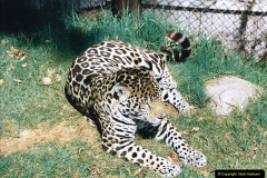0388.1998-October-Central-South-Africa.-388-Oudtshoorn-and-area.-Wildlife-Ranc.-