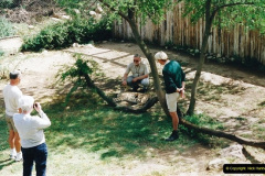 0393.1998-October-Central-South-Africa.-393-Oudtshoorn-and-area.-Wildlife-Ranc.-